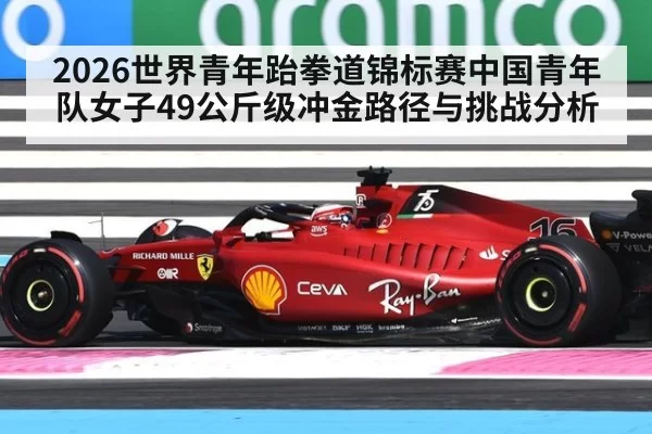 2026世界青年跆拳道锦标赛中国青年队女子49公斤级冲金路径与挑战分析